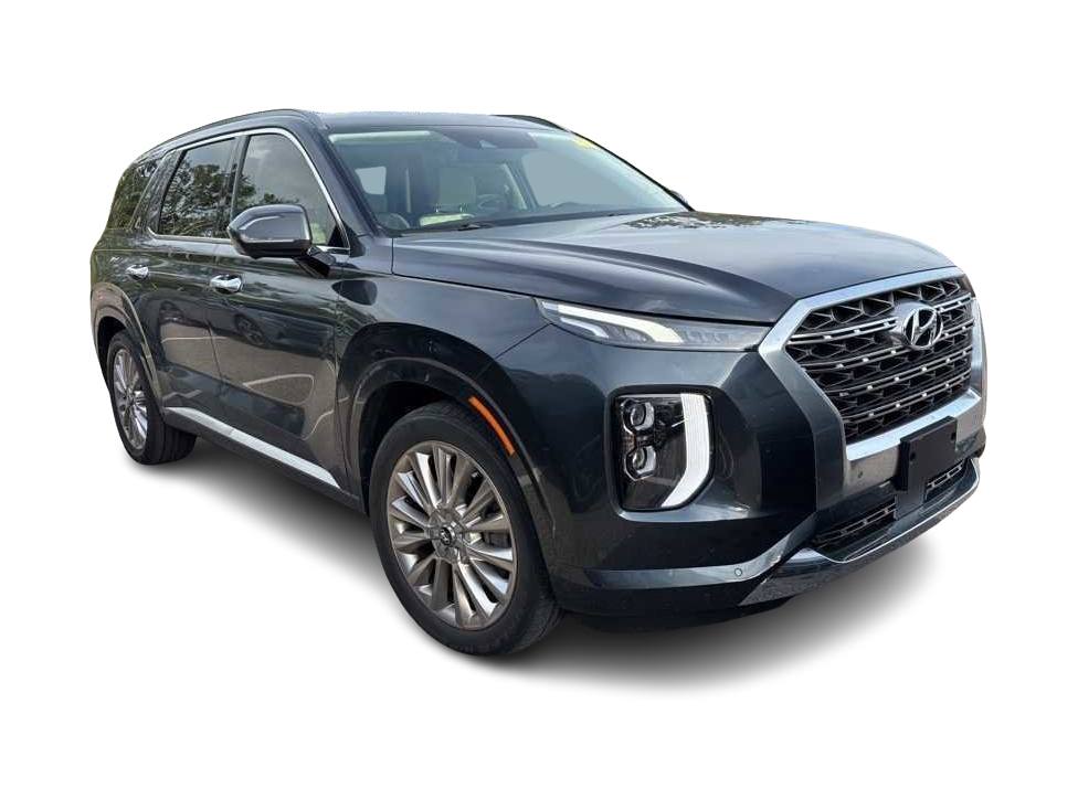 Thumbnail: 2020 Hyundai Palisade - 10
