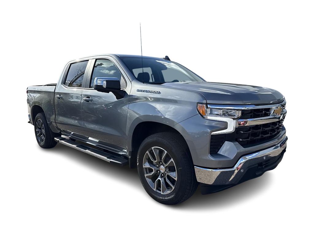 2025 Chevrolet Silverado 1500 LT 19