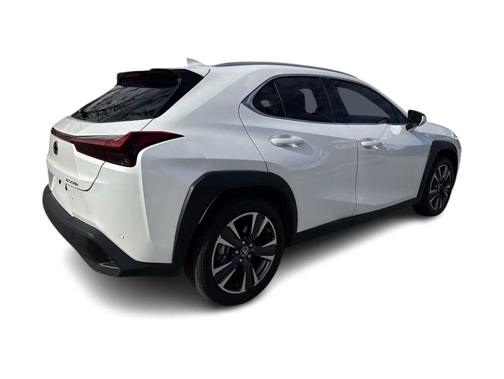 2024 Lexus UX 250h 21