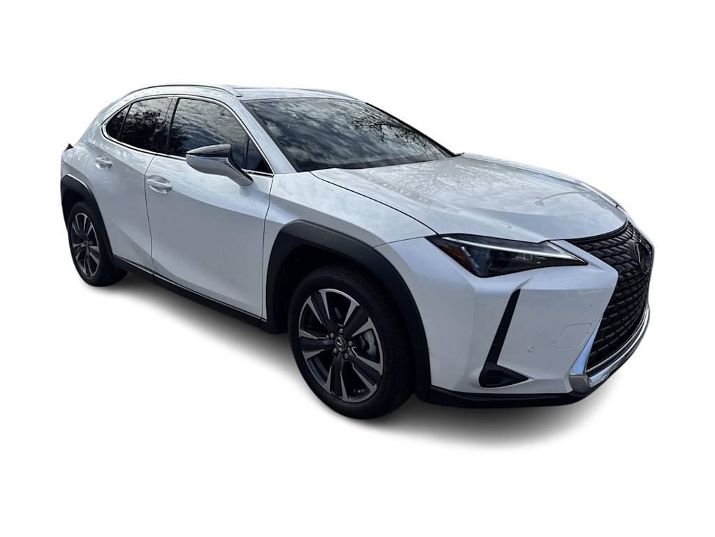 2024 Lexus UX 250h 19