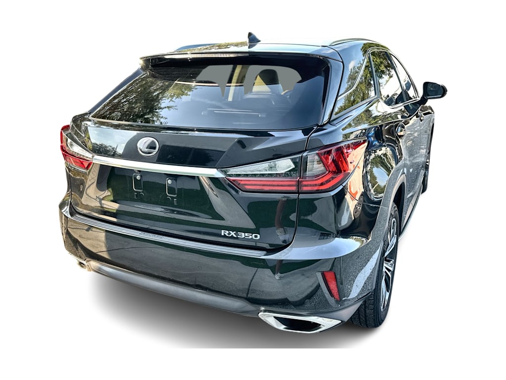 Thumbnail: 2019 Lexus RX - 19