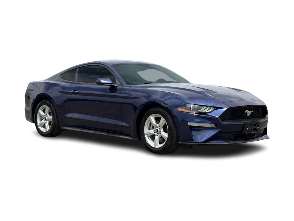 Thumbnail: 2019 Ford Mustang - 18