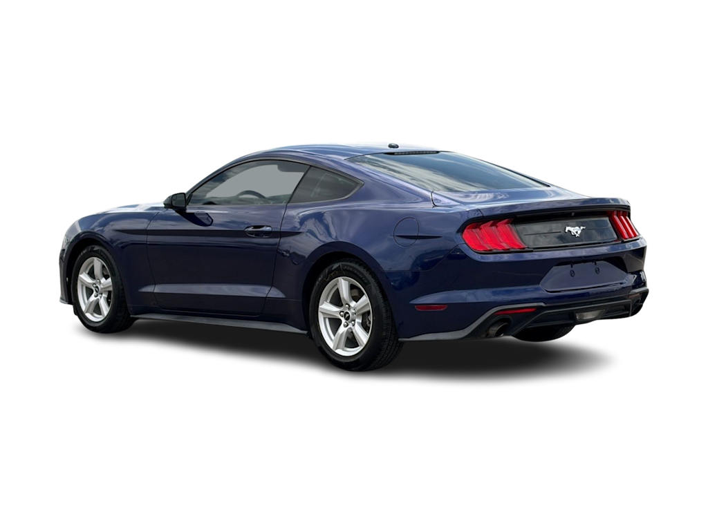 Thumbnail: 2019 Ford Mustang - 4