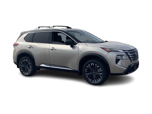 2025 Nissan Rogue Platinum 17