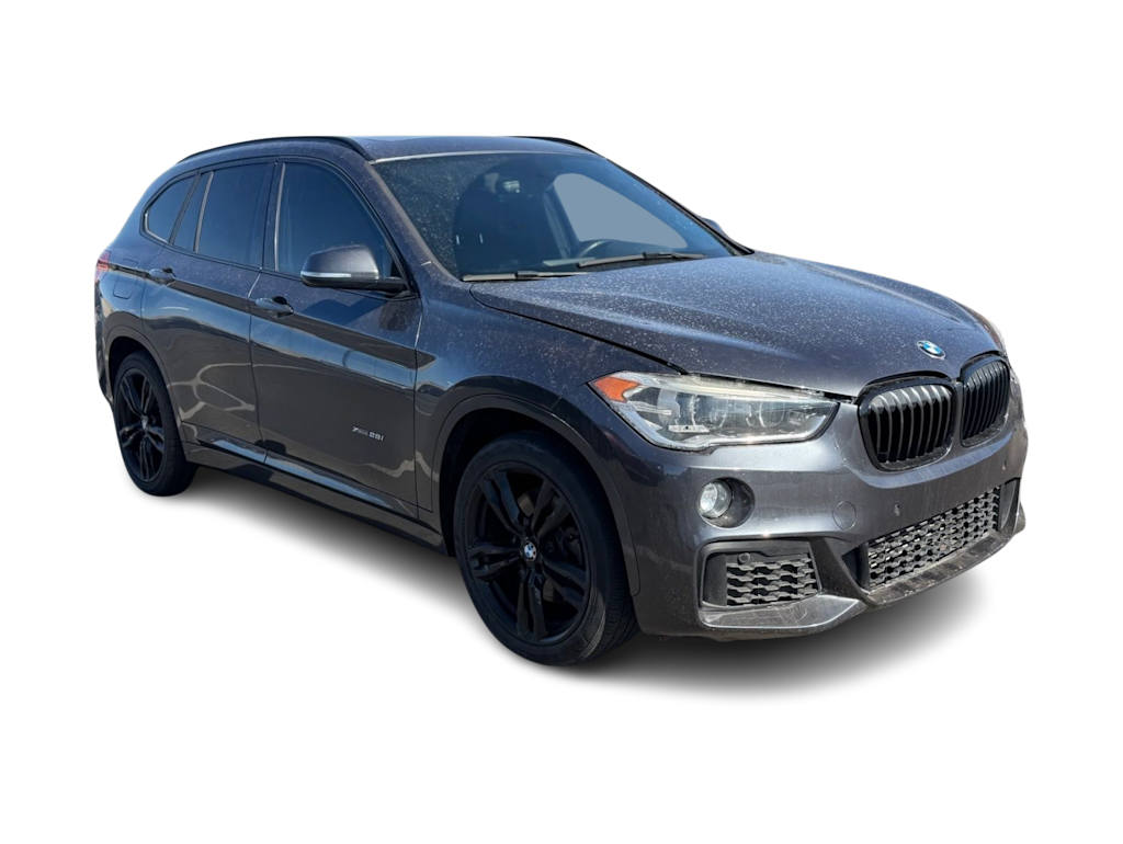 Thumbnail: 2016 BMW X1 - 11