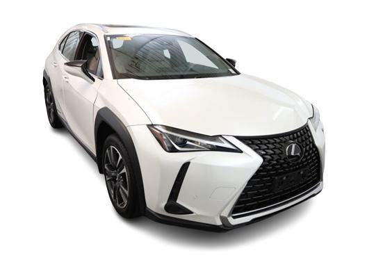 2021 Lexus UX 250h 25