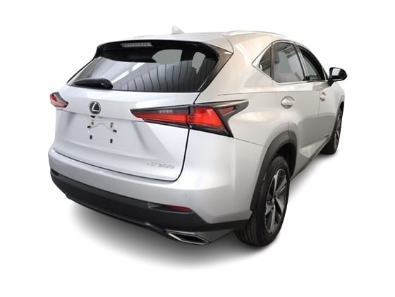 2018 Lexus NX 300 22