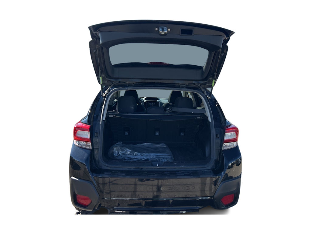 Thumbnail: 2019 Subaru Crosstrek - 11