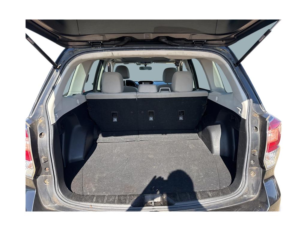 Thumbnail: 2018 Subaru Forester - 13
