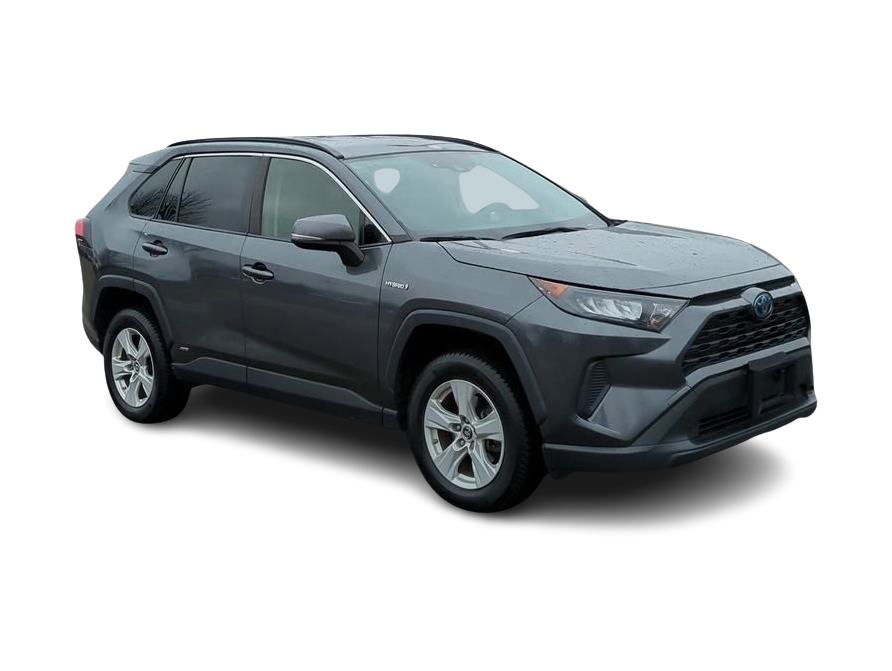 2019 Toyota RAV4 LE 20