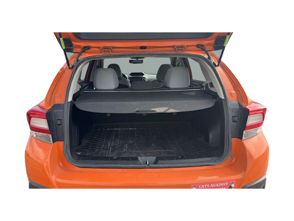 Thumbnail: 2019 Subaru Crosstrek - 12