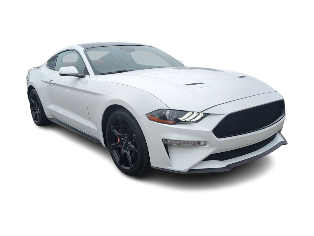 Thumbnail: 2019 Ford Mustang - 18