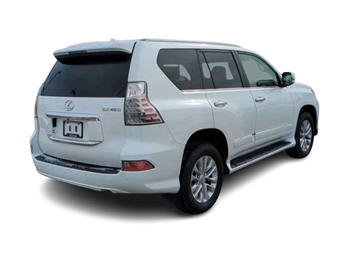 2019 Lexus GX 460 22