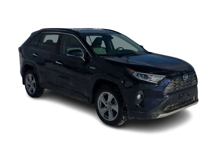 2019 Toyota RAV4 Limited 20