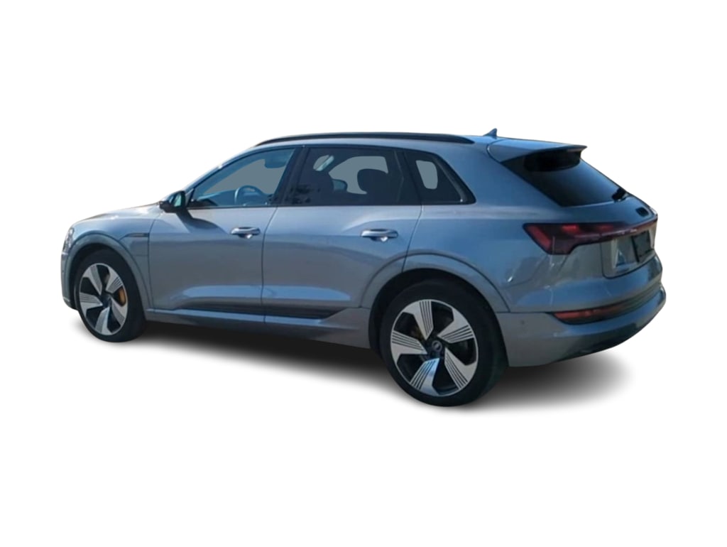 2022 Audi e-tron Premium Plus 19