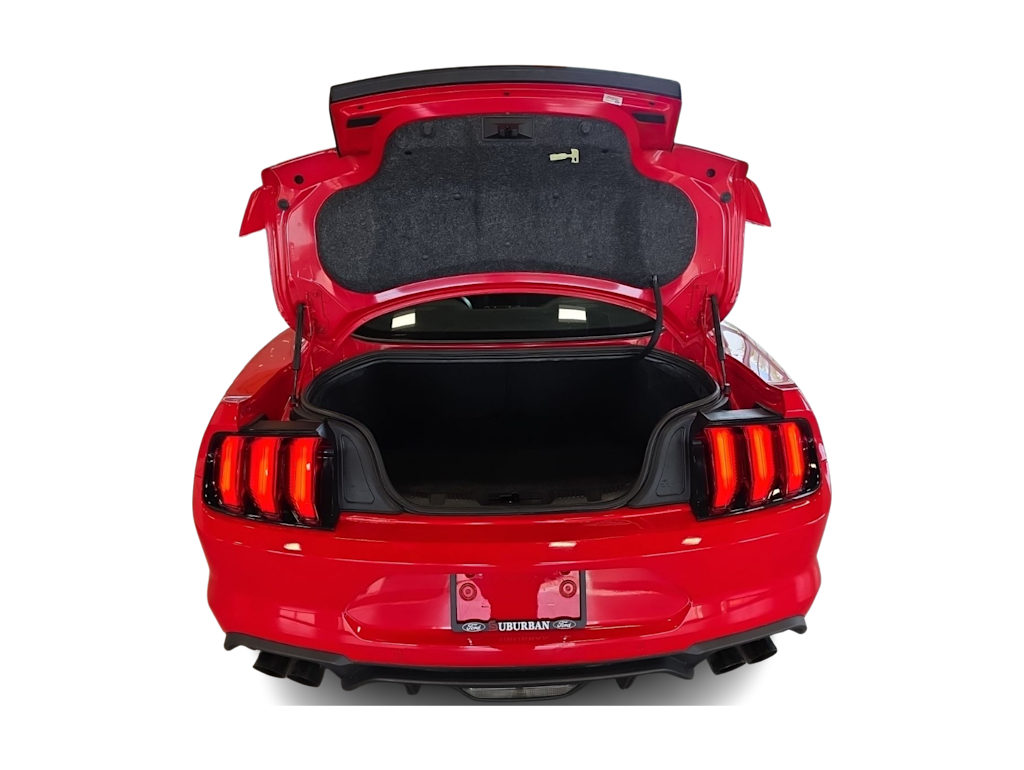 Thumbnail: 2019 Ford Mustang - 12