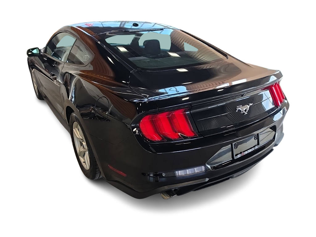 Thumbnail: 2019 Ford Mustang - 20