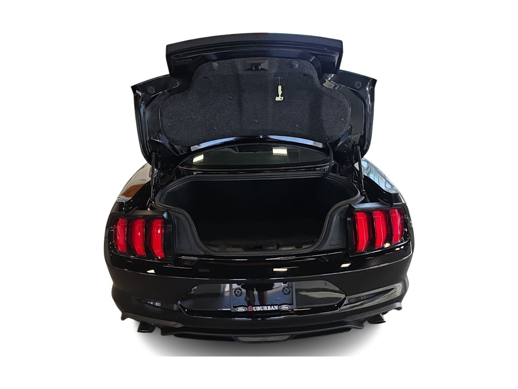 Thumbnail: 2019 Ford Mustang - 13