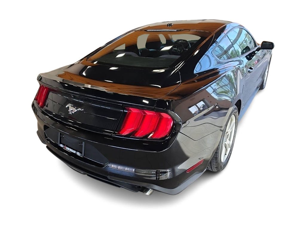 Thumbnail: 2019 Ford Mustang - 18