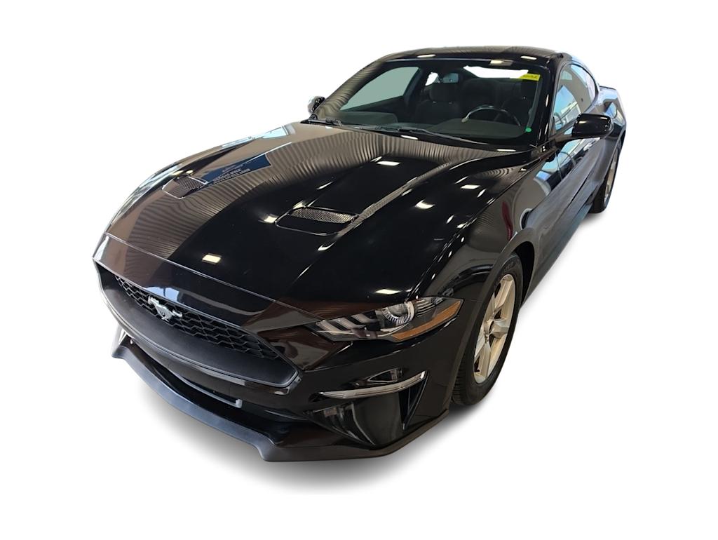 Thumbnail: 2019 Ford Mustang - 14