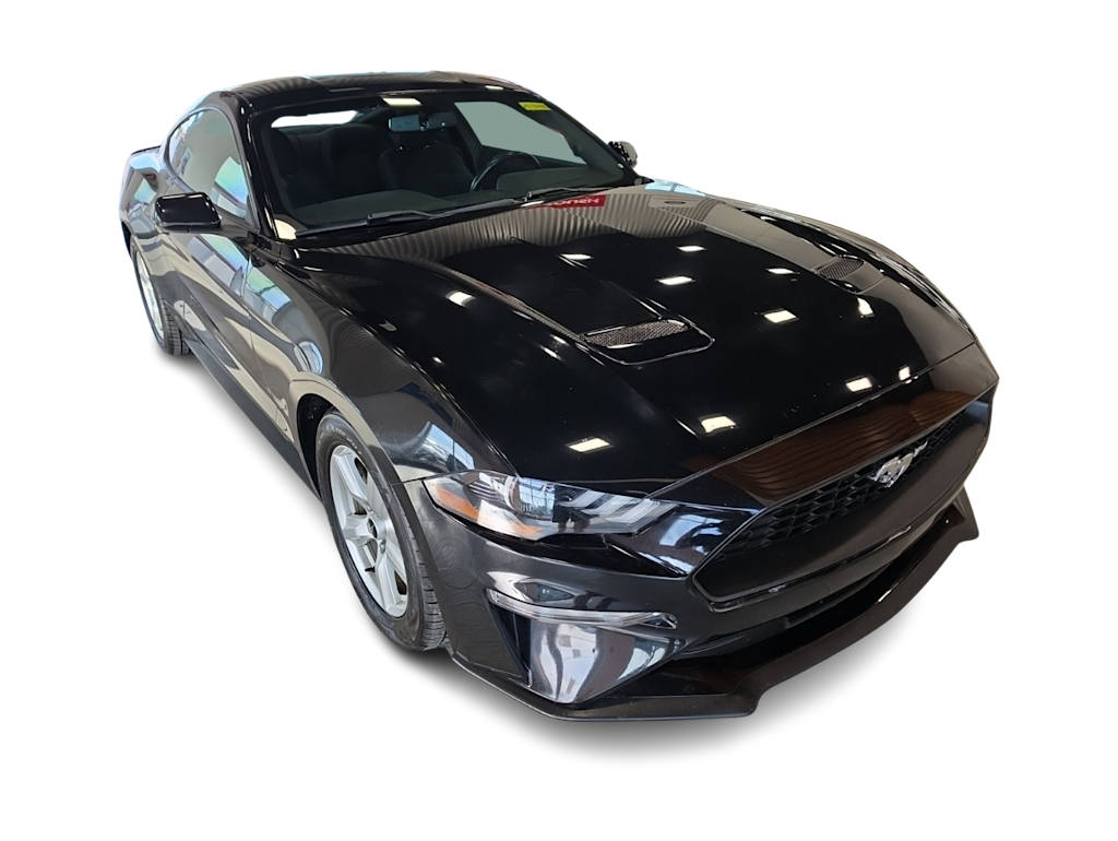 Thumbnail: 2019 Ford Mustang - 4