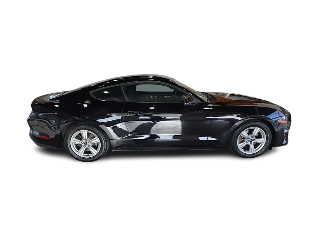 Thumbnail: 2019 Ford Mustang - 16