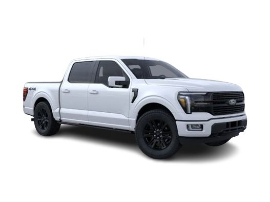 2024 Ford F-150 Platinum 13