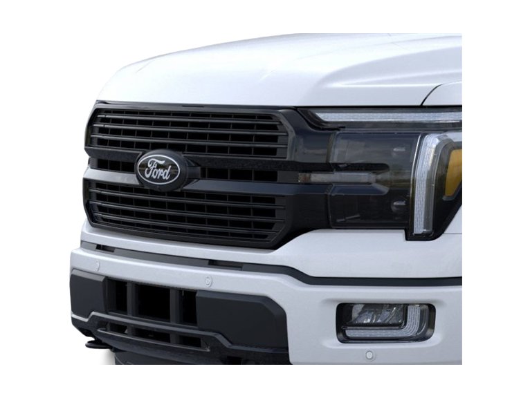 2024 Ford F-150 Platinum 18