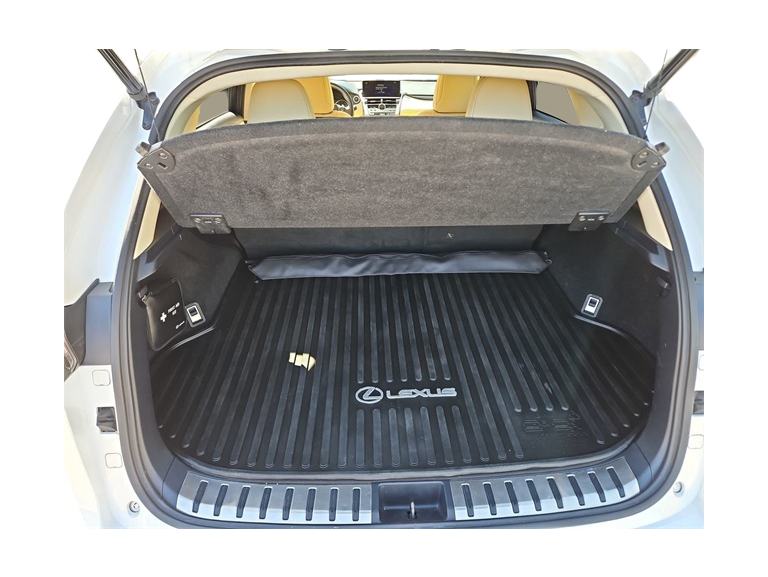 Thumbnail: 2018 Lexus NX - 18