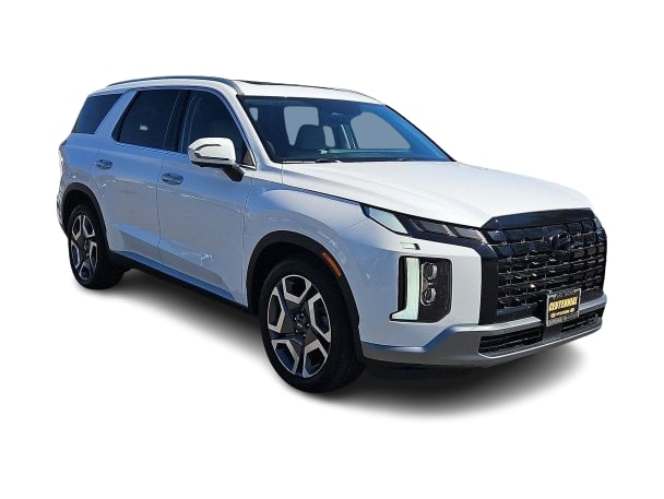 Thumbnail: 2025 Hyundai Palisade - 19