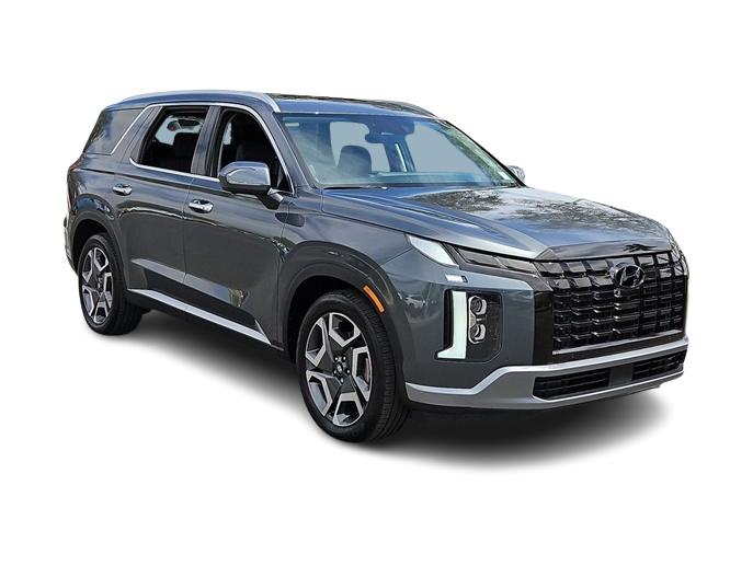 2024 Hyundai Palisade Limited 21