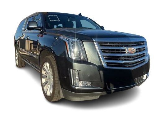 Thumbnail: 2019 Cadillac Escalade - 13