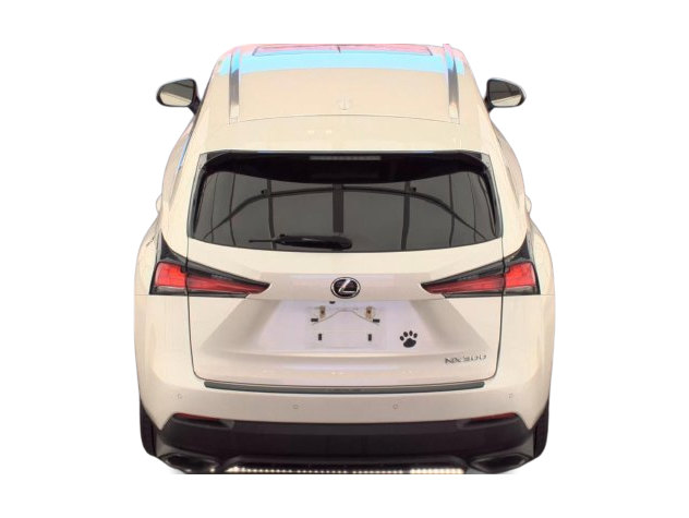 Thumbnail: 2018 Lexus NX - 4