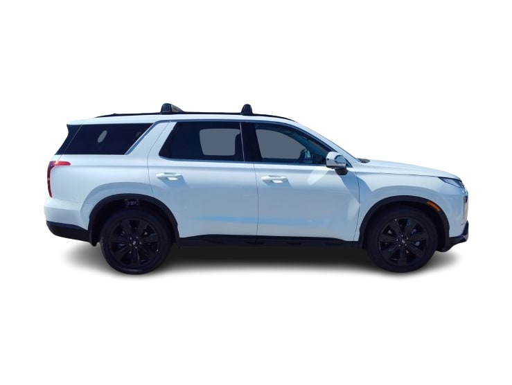 Thumbnail: 2025 Hyundai Palisade - 19