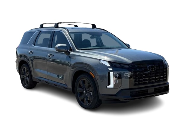 Thumbnail: 2025 Hyundai Palisade - 19