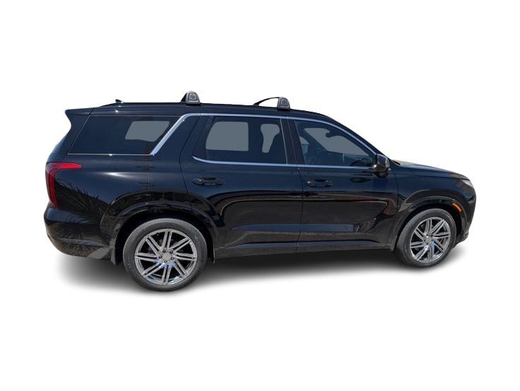 Thumbnail: 2025 Hyundai Palisade - 18