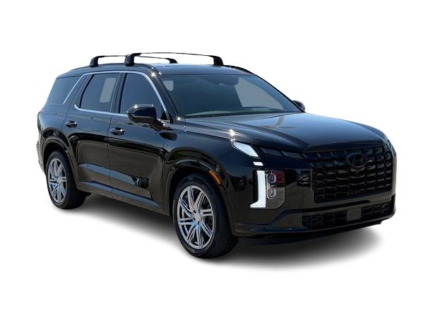 Thumbnail: 2025 Hyundai Palisade - 19
