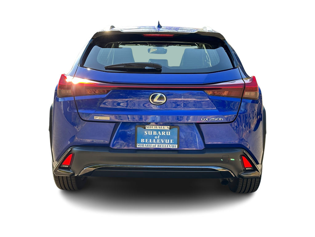 Thumbnail: 2019 Lexus UX - 5