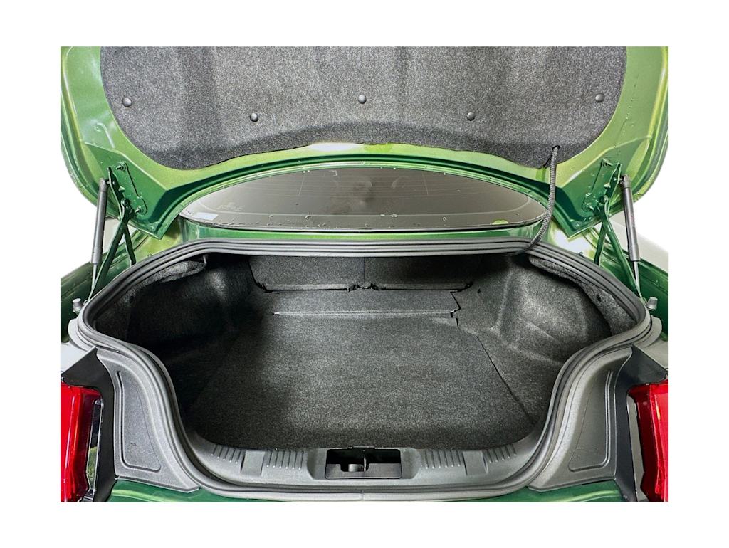 Thumbnail: 2022 Ford Mustang - 18