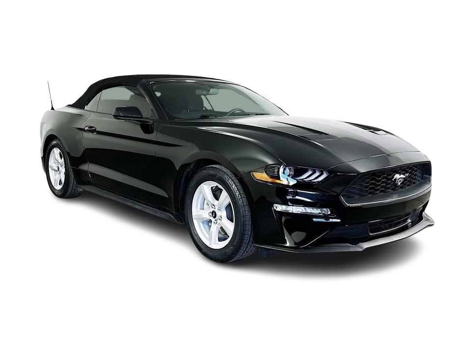 Thumbnail: 2019 Ford Mustang - 23