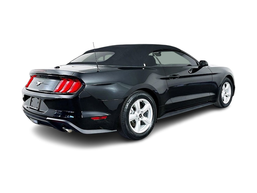 Thumbnail: 2019 Ford Mustang - 24