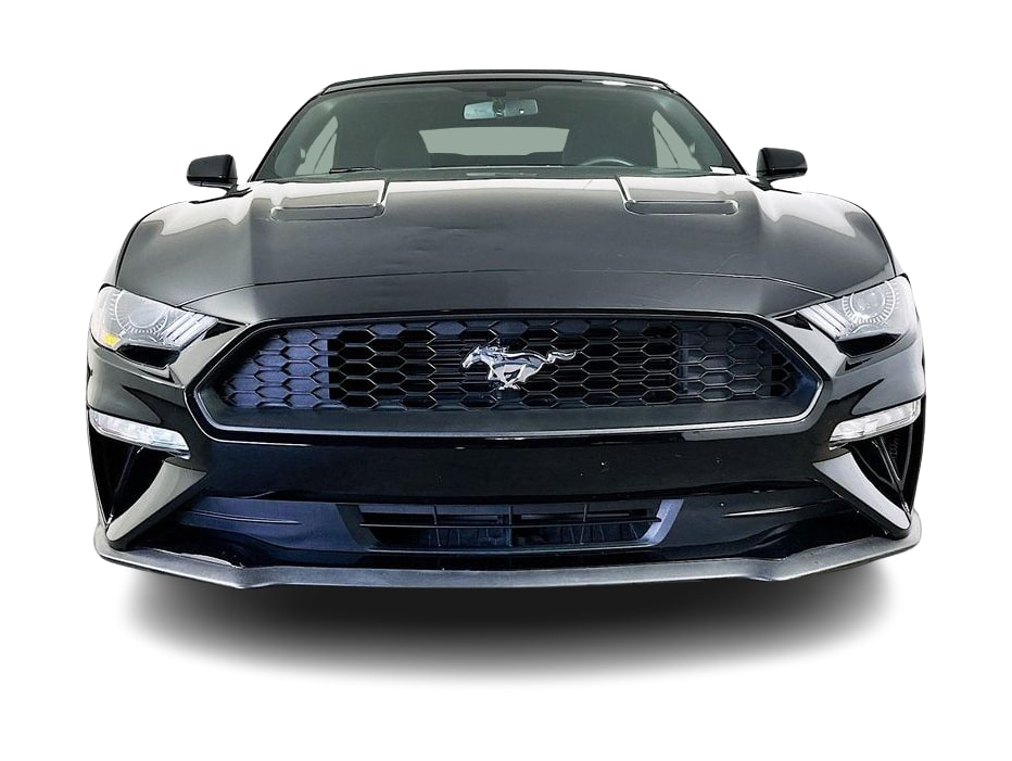 Thumbnail: 2019 Ford Mustang - 6