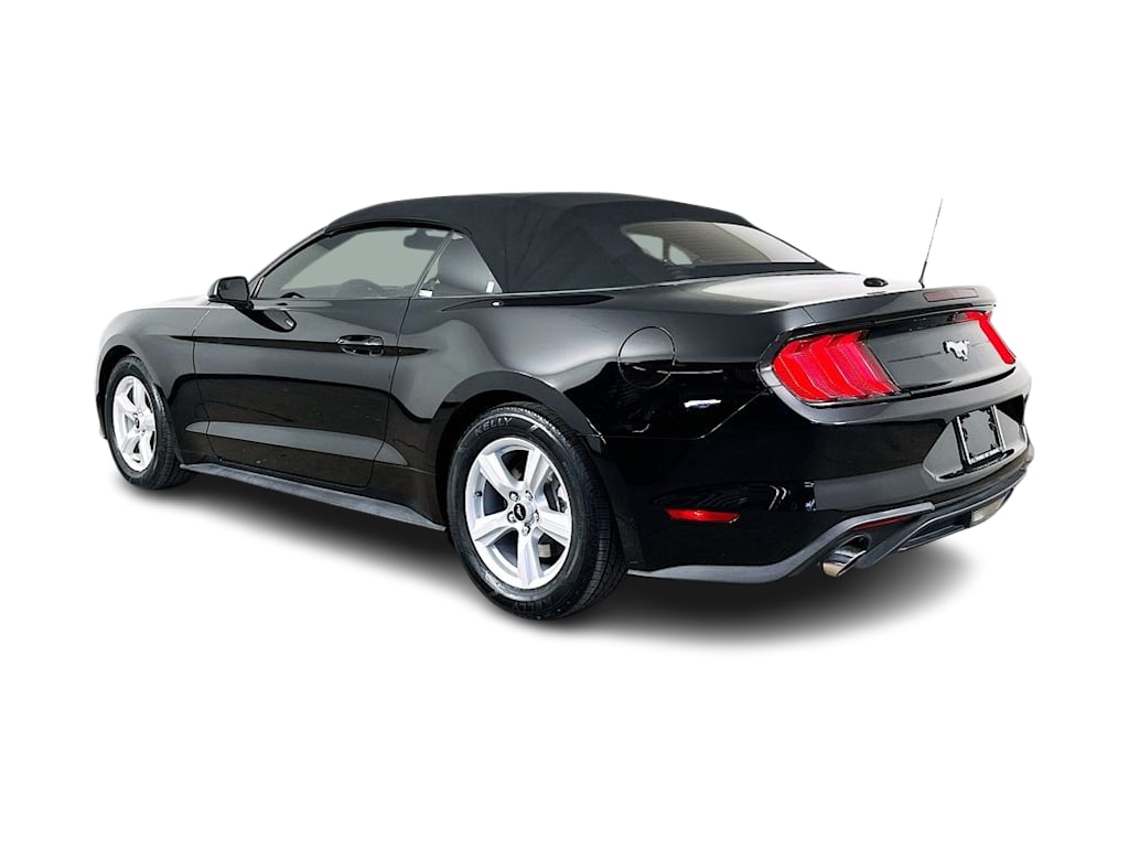 Thumbnail: 2019 Ford Mustang - 4