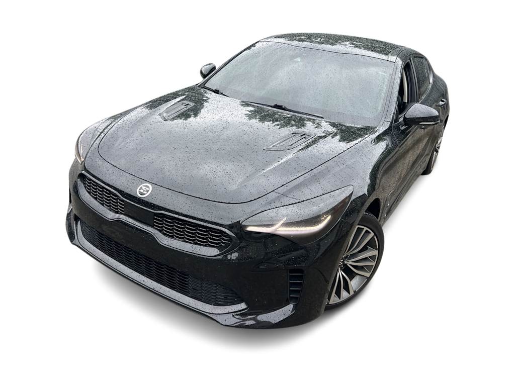 Thumbnail: 2018 Kia Stinger - 9