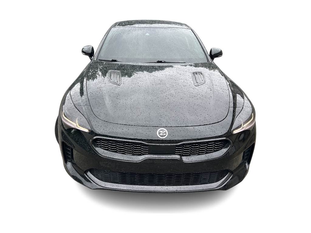 Thumbnail: 2018 Kia Stinger - 18