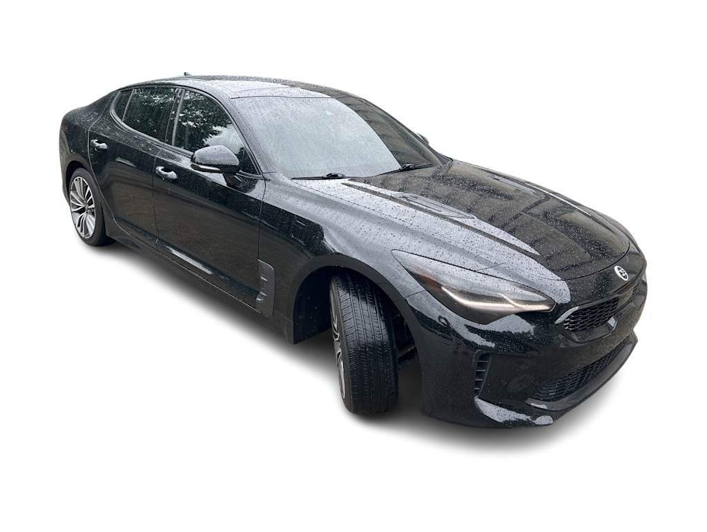 Thumbnail: 2018 Kia Stinger - 16