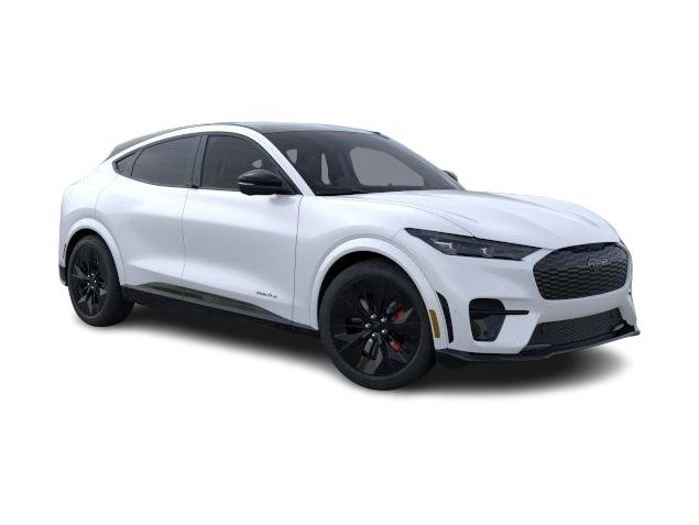 Thumbnail: 2025 Ford Mustang Mach-E - 14