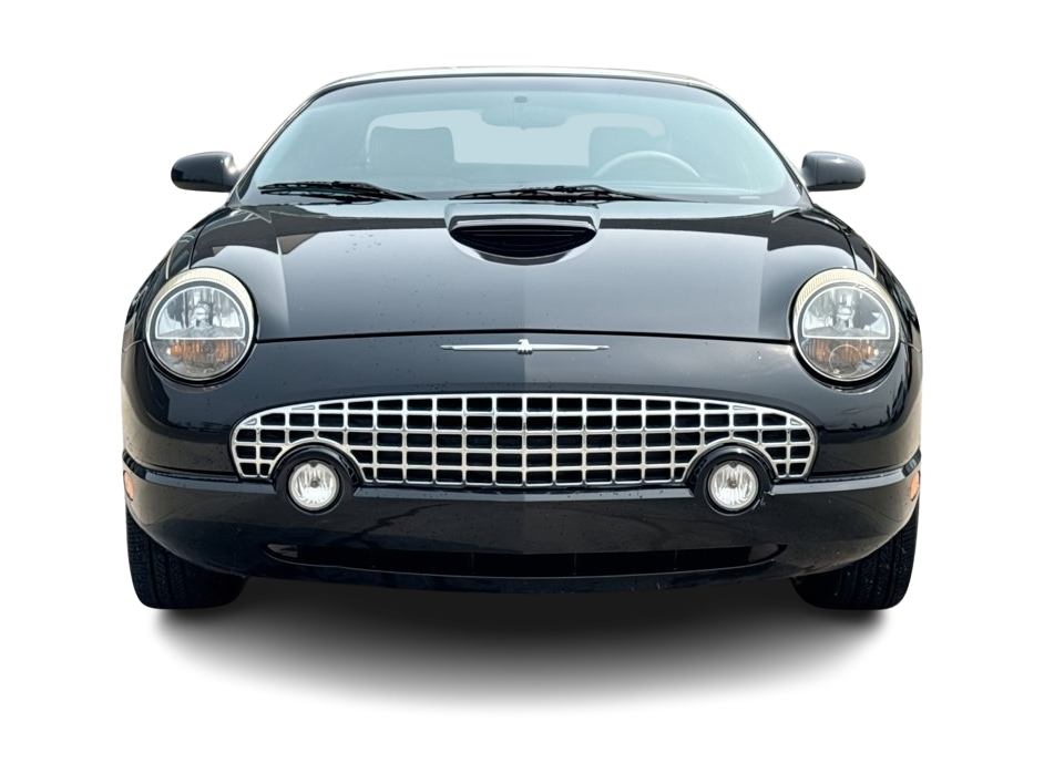Thumbnail: 2005 Ford Thunderbird - 19