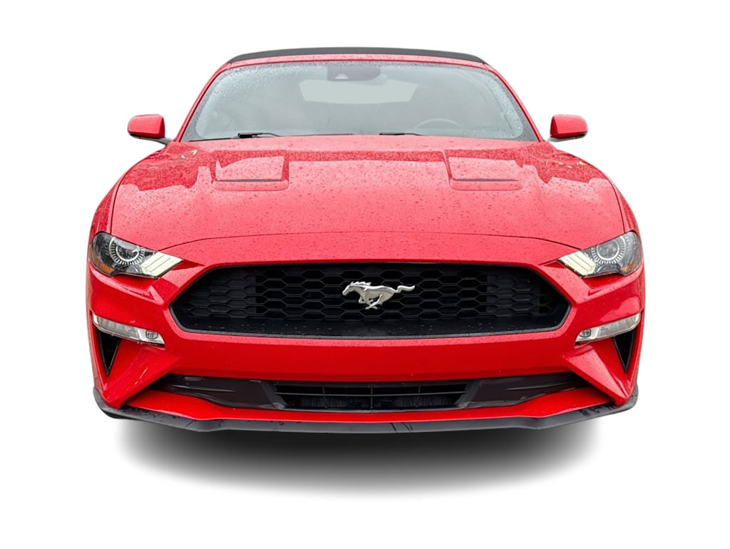 Thumbnail: 2019 Ford Mustang - 6