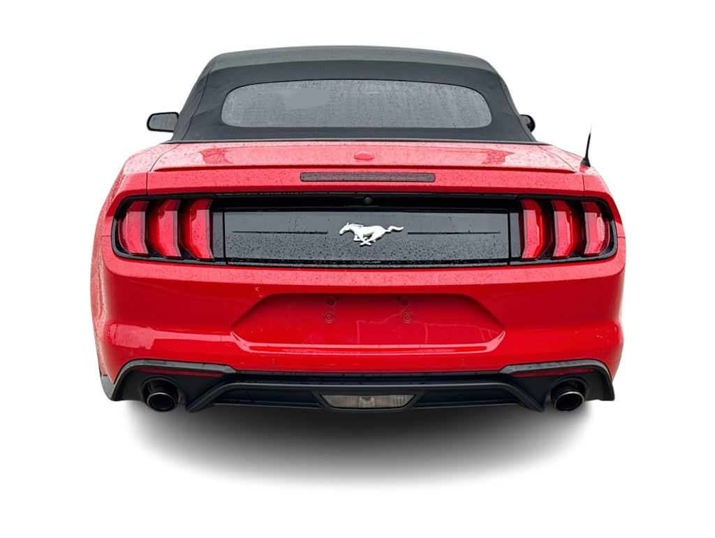Thumbnail: 2019 Ford Mustang - 5